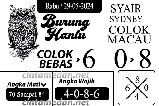 SYAIR SDY VIP